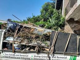 Reliable Williamsville, NY Junk Removal Solutions